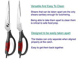 Kitchen Scissors - Heavy Duty Utility Come Apart Kitchen Shears for Chicken, Meat