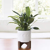 White Ceramic Plant Pot with Stand - 6.3 Inch Crescent Moon Embossed Cylinder White