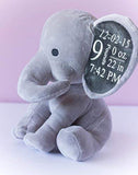 Personalized Birth Stat Elephant