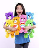 Care Bears Share Bear Stuffed Animal