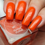 Parrot Polish Sun Conure Orange