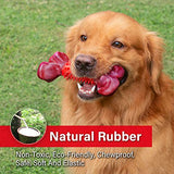 Tough Dog Toys for Aggressive Chewers Large Breed, Apasiri Dog Chew Toys, Durable