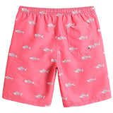 MaaMgic Boys 2T Swim Trunks Toddler Swim Shorts Little Boys Bathing Suit Swimsuit