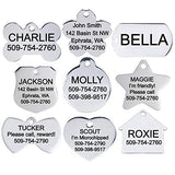 GoTags Stainless Steel Pet ID Tags, Personalized Dog Tags and Cat Tags, up to 8 Lines