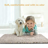 Delxo 18"x30" Magic Doormat Absorbs Mud Doormat No Odor Durable Anti-Slip