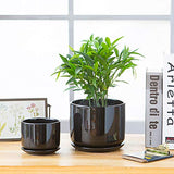 Plant Pots, Flower Pots Planters with Connected Saucer, Round Modern Decorative