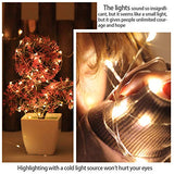 Battery Fairy Lights, 33 Ft Battery Powered String Light, 100 LED Warm White Fairy Light