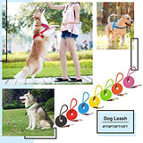 MayPaw 4FT/6FT/8FT/10FT Dog Leash, Classic Solid Colors, Durable Mountain Climbing