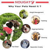 NOUGAT Dog Toys for Aggressive Chewers Large Breed, Squeaky Dog Toys