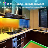 Tenmiro 65.6ft Led Strip Lights, Ultra Long RGB 5050 Color Changing LED Light Strips Kit
