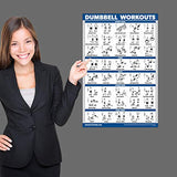 Palace Learning Dumbbell Workout Exercise Poster - Free Weight Body Building Guide