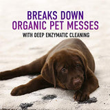 Hoover Paws & Claws Deep Cleaning Carpet Shampoo with Stainguard, Concentrated