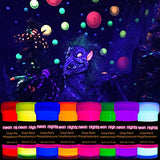 Premium Glow in the Dark Acrylic Paint Set by neon nights