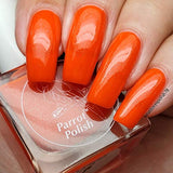 Parrot Polish Sun Conure Orange