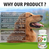 Milk Thistle for Dogs, Liver Support for Dogs, Detox, Hepatic Support, Promotes Liver