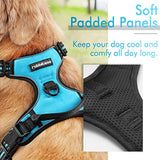 rabbitgoo Dog Harness, No-Pull Pet Harness with 2 Leash Clips, Adjustable Soft Padded