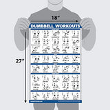 Palace Learning Dumbbell Workout Exercise Poster - Free Weight Body Building Guide