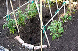 GROW!T HGBB2 - 2 Foot Long Bamboo Stakes, Natural Finish, (Pack of 25) - Strong