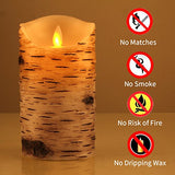 comenzar Flickering Candles, Candles Birch Set of 4 5" 6" Birch Bark Battery Candles