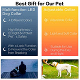 Tekkery Light Up Dog Collar, Glowing Pet Dog Collar for Night Safety with USB