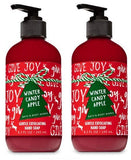 Bath and Body Works 2 Pack Winter Candy Apple Gentle Exfoliating Hand Soap 8.3 Oz.
