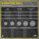 URBNFit Exercise Ball (Multiple Sizes) for Fitness, Stability, Balance & Yoga Ball