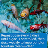 API POND ALGAEFIX Algae Control 16-Ounce Bottle (169B)