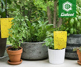 Gideal 20-Pack Dual-Sided Yellow Sticky Traps for Flying Plant Insect Such as Fungus