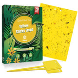 Gideal 20-Pack Dual-Sided Yellow Sticky Traps for Flying Plant Insect Such as Fungus