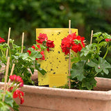 Gideal 20-Pack Dual-Sided Yellow Sticky Traps for Flying Plant Insect Such as Fungus