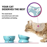 Y YHY Raised Cat Food and Water Bowl Set, Tilted Elevated Cat Food Bowls Anti