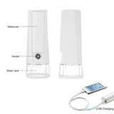 Nano Mist Sprayer Handheld Ionic Facial Spray Mister Face Steamer Daily Moisturizer Mini Portable For Strong Deep Moisturizing, Makeup, Facial Water Spa/Skin Care Beauty Instrument (White)