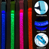 Tekkery Light Up Dog Collar, Glowing Pet Dog Collar for Night Safety with USB