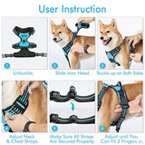 rabbitgoo Dog Harness, No-Pull Pet Harness with 2 Leash Clips, Adjustable Soft Padded