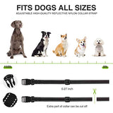 Dog Bark Collar - Rechargeable Bark Collar for Small Medium Large Dogs, Humane