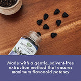 Nature's Way Sambucus Black Elderberry Gummies with Vitamin C and Zinc, 60 Gummies