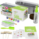 Paint & Plant Flower Growing Kit - Kids Gardening Science Gifts for Girls and Boys