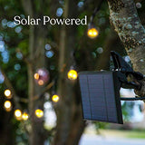 Brightech Ambience Pro - Weatherproof, Solar Power Outdoor String Lights - 27 Ft