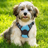 rabbitgoo Dog Harness, No-Pull Pet Harness with 2 Leash Clips, Adjustable Soft Padded