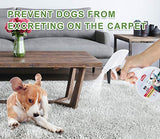 QUTOP Dog No Chew Spray - Anti Chew Spray Deterrent for Dogs, Pet Corrector Bitter