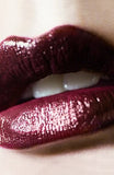 MAC Sheen Supreme Lipstick - GOOD TO BE BAD