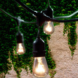 Lemontec Commercial Grade Outdoor String Lights with 15 Hanging Sockets - 48 Ft