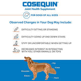 Nutramax Laboratories Cosequin Plus MSM Chewable Tablets, 60 Count
