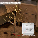 PEIDUO 24” 2FT 24LT Lighted Birch Tree Battery Powered Timer Warm White LED