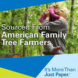 Hammermill Printer Paper, 20 lb Copy Paper, 11 x 17 - 1 Ream (500 Sheets) - 92 Bright