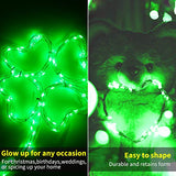 St. Patrick's Day 12 Pack Led Fairy Lights Battery Operated String Lights Waterproof Silver