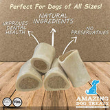 AMAZING DOG TREATS 3-4" Stuffed Shin Bone for Dogs - Acai Blend (5 pcs/pk)