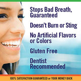 TheraBreath Gluten-Free Fresh Breath Oral Rinse, Icy Mint, 16 Ounce Bottle (Pack of 2)