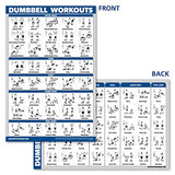 Palace Learning Dumbbell Workout Exercise Poster - Free Weight Body Building Guide