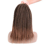 Ronsaen Box Braids Crochet Hair 100% Kanekalon Crochet Box Braids Hair（7Packs/Lot) (30"7Packs, T27)